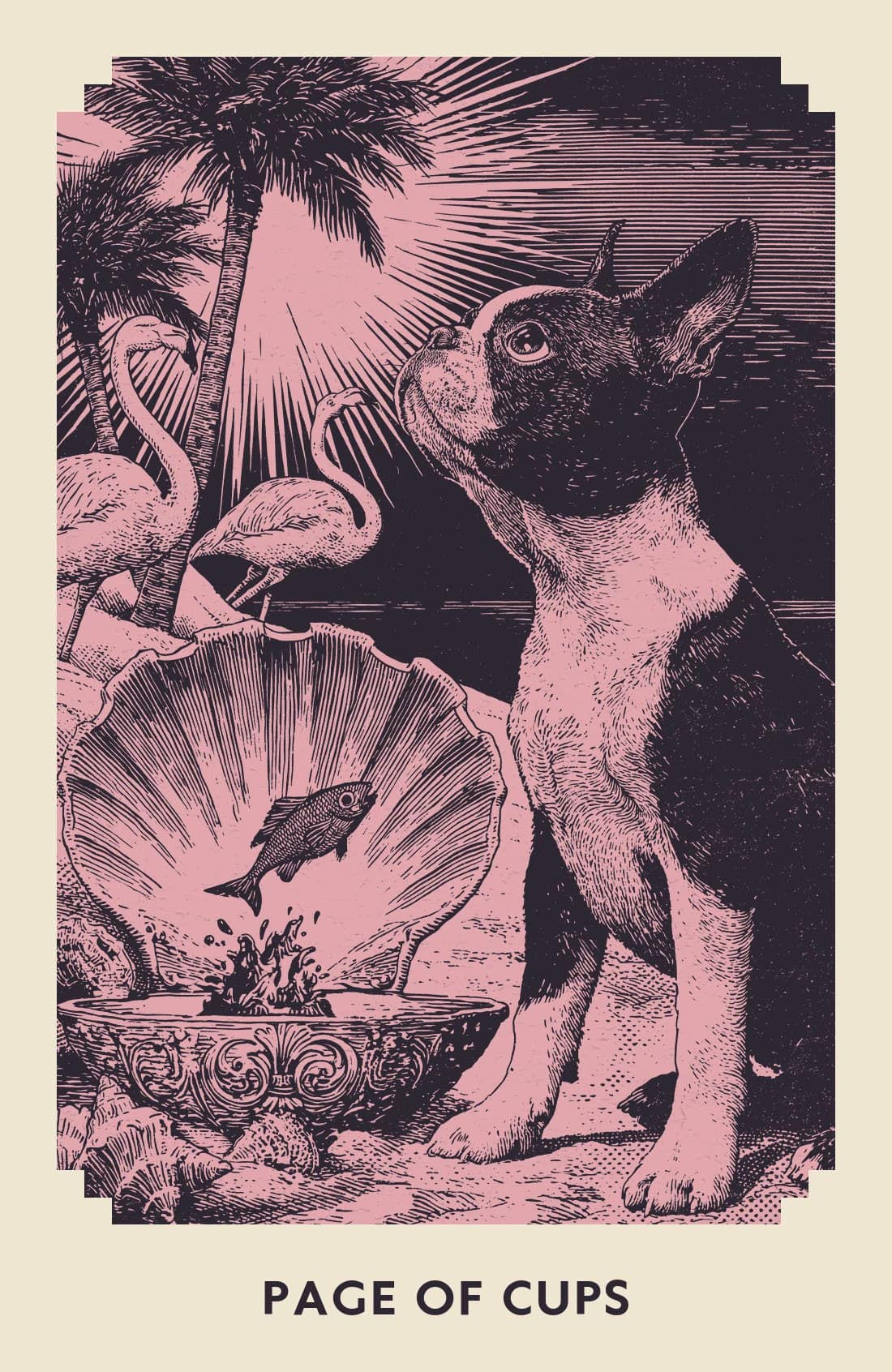 Page of Cups