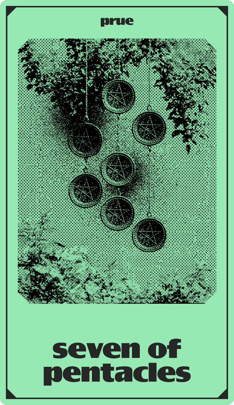 Seven of Pentacles