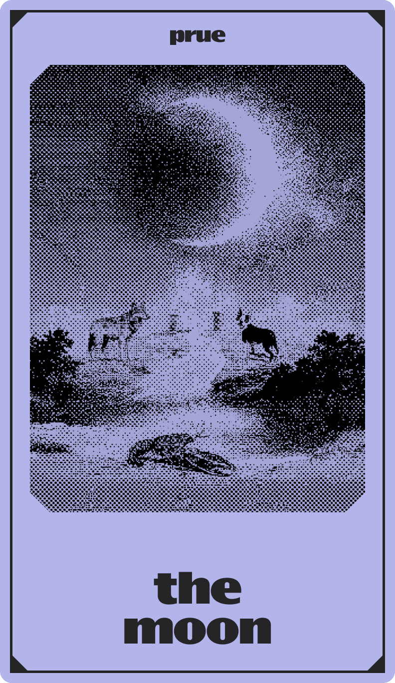 The Moon
