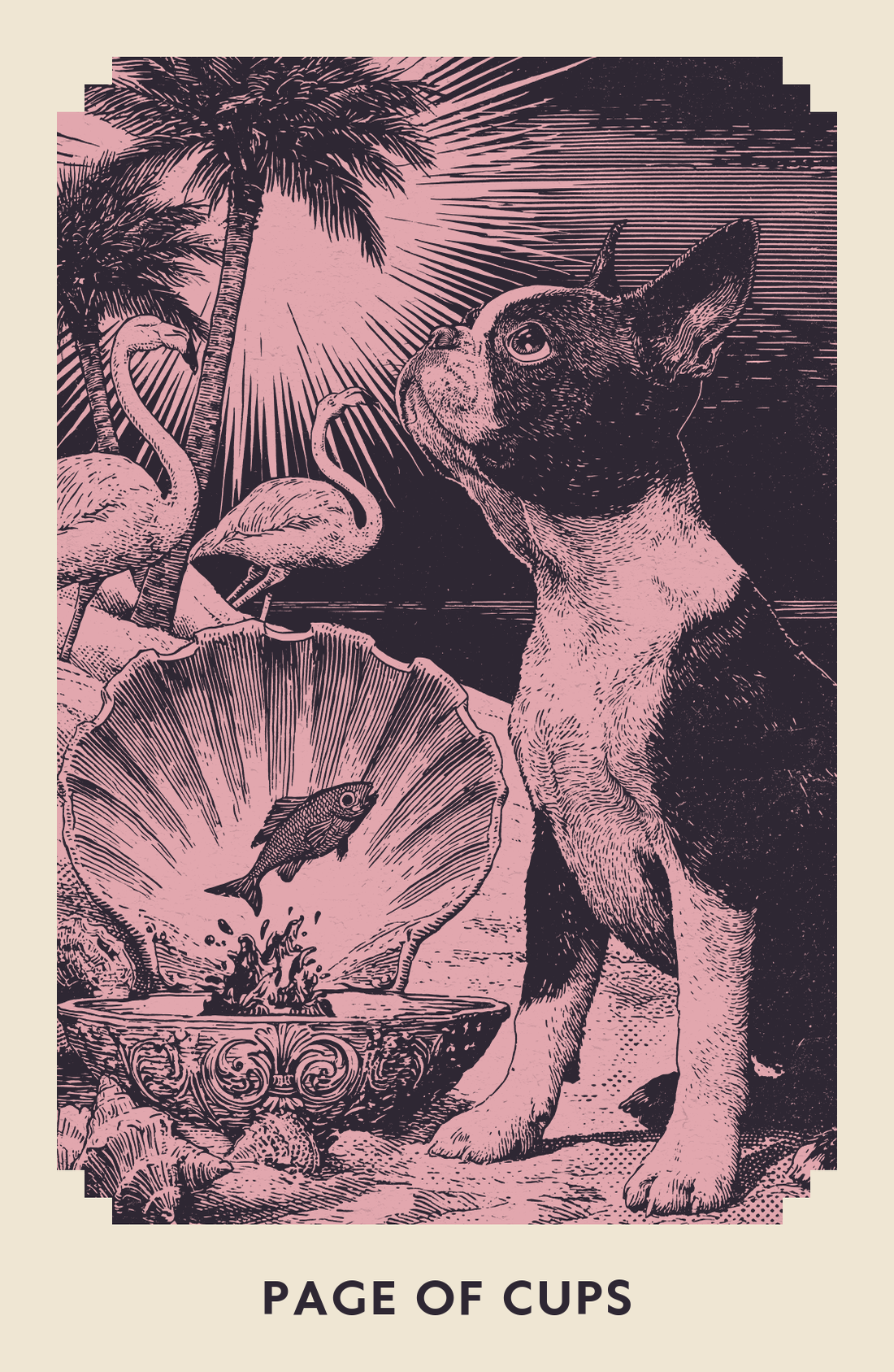 Page of Cups